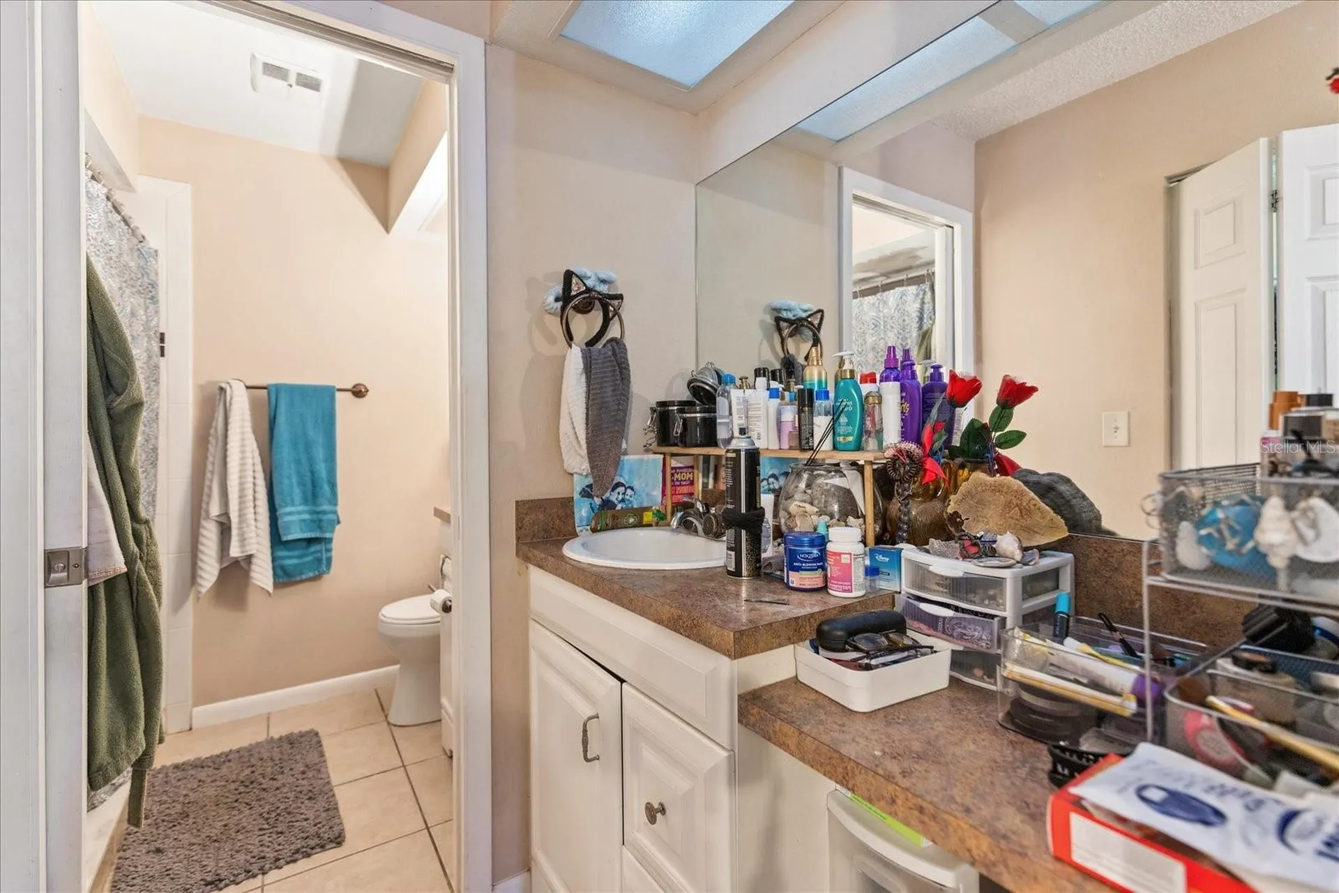 2044 Sheffield Court Oldsmar FL 34677