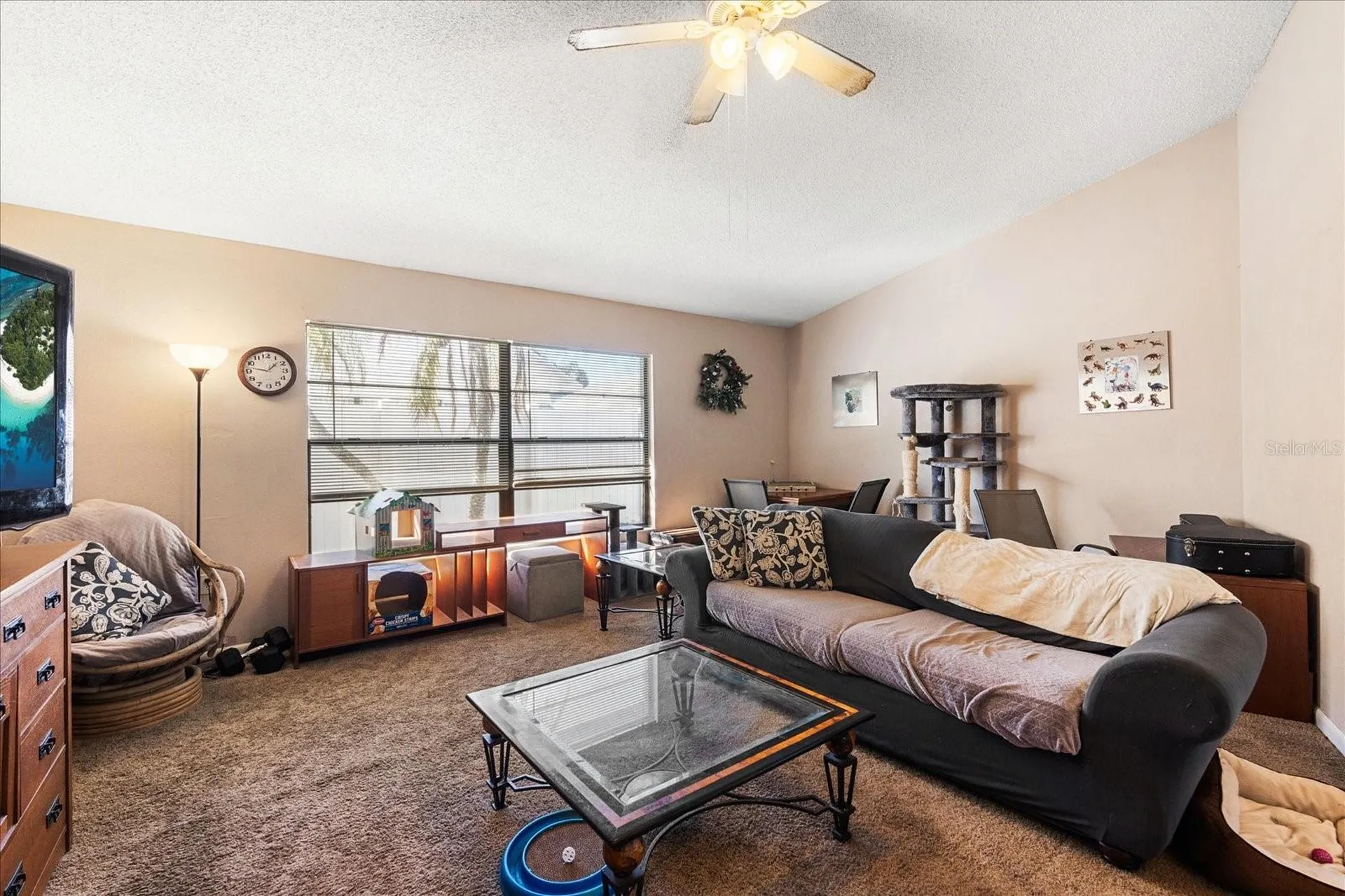 2044 Sheffield Court Oldsmar FL 34677