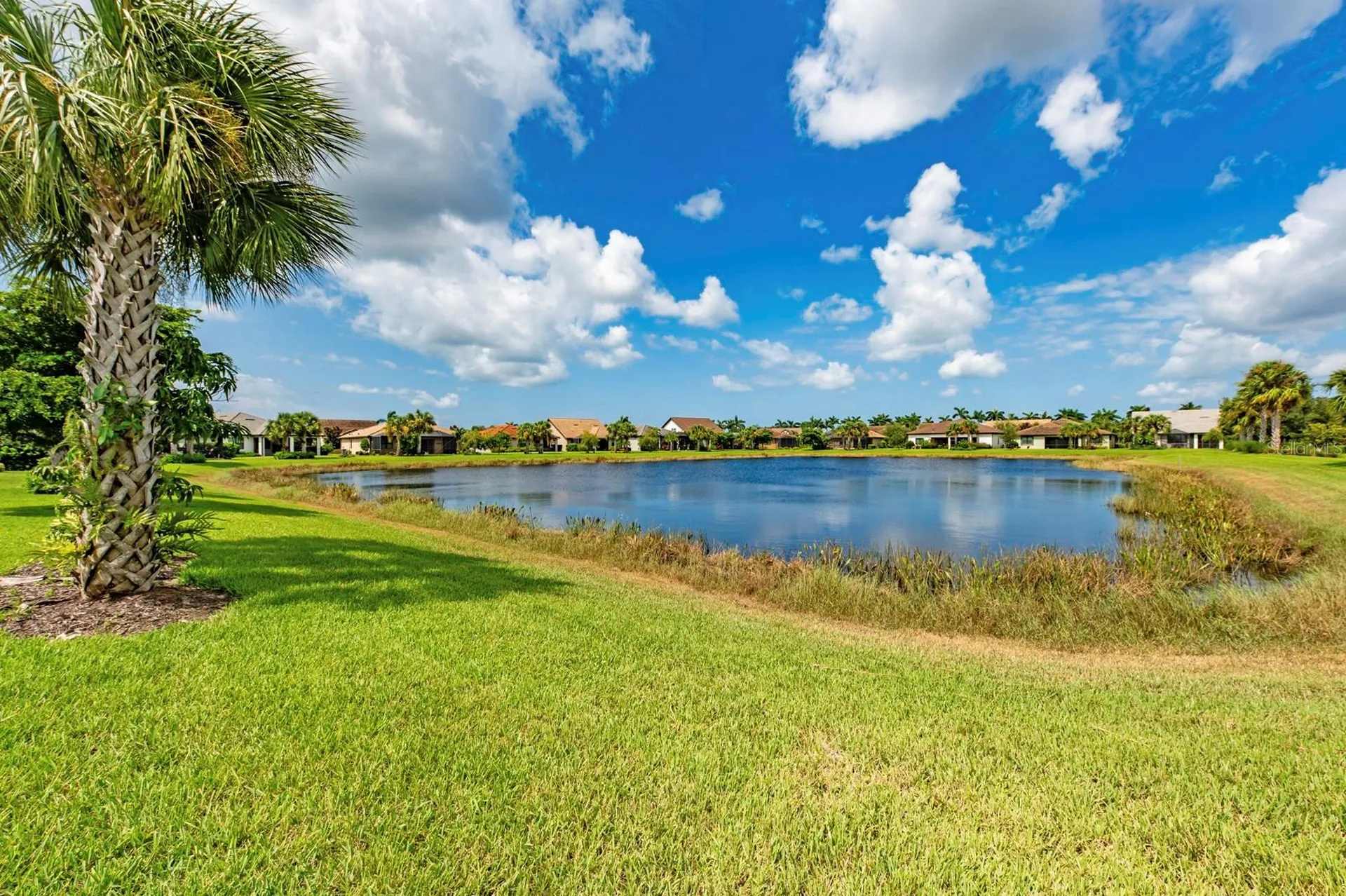 5610 Rain Lily Court Sarasota FL 34238