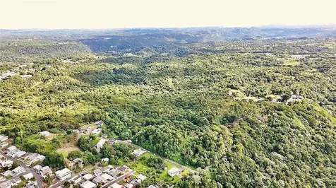 Bo. Juncal Pr-111 San Sebastian PR 00685