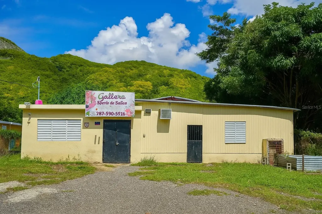 Barrio Quebrada Yeguas La Plena 94 Salinas PR 00751