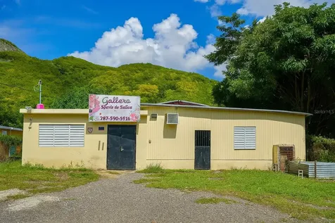 Barrio Quebrada Yeguas La Plena 94 Salinas PR 00751