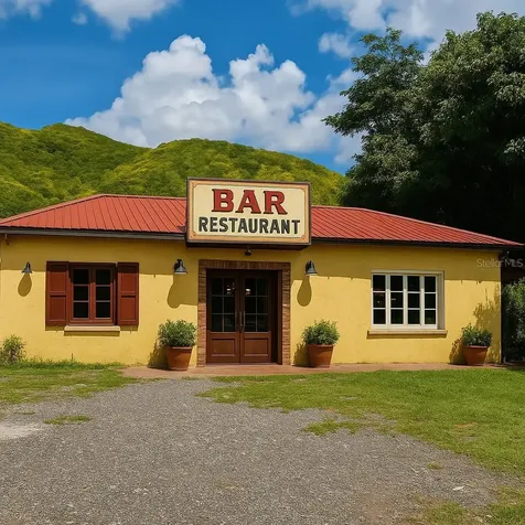 Barrio Quebrada Yeguas La Plena 94 Salinas PR 00751