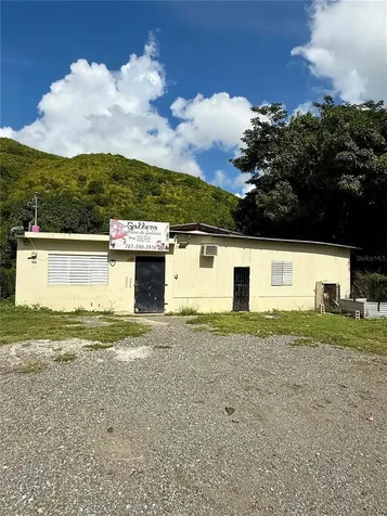 Barrio Quebrada Yeguas La Plena 94 Salinas PR 00751