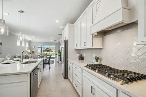 6098 Shorebird Branch Land O Lakes FL 34638