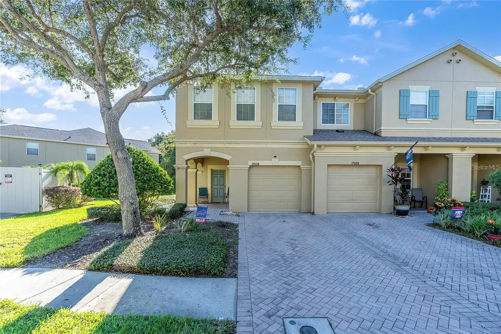17530 Stinchar Drive Land O Lakes FL 34638