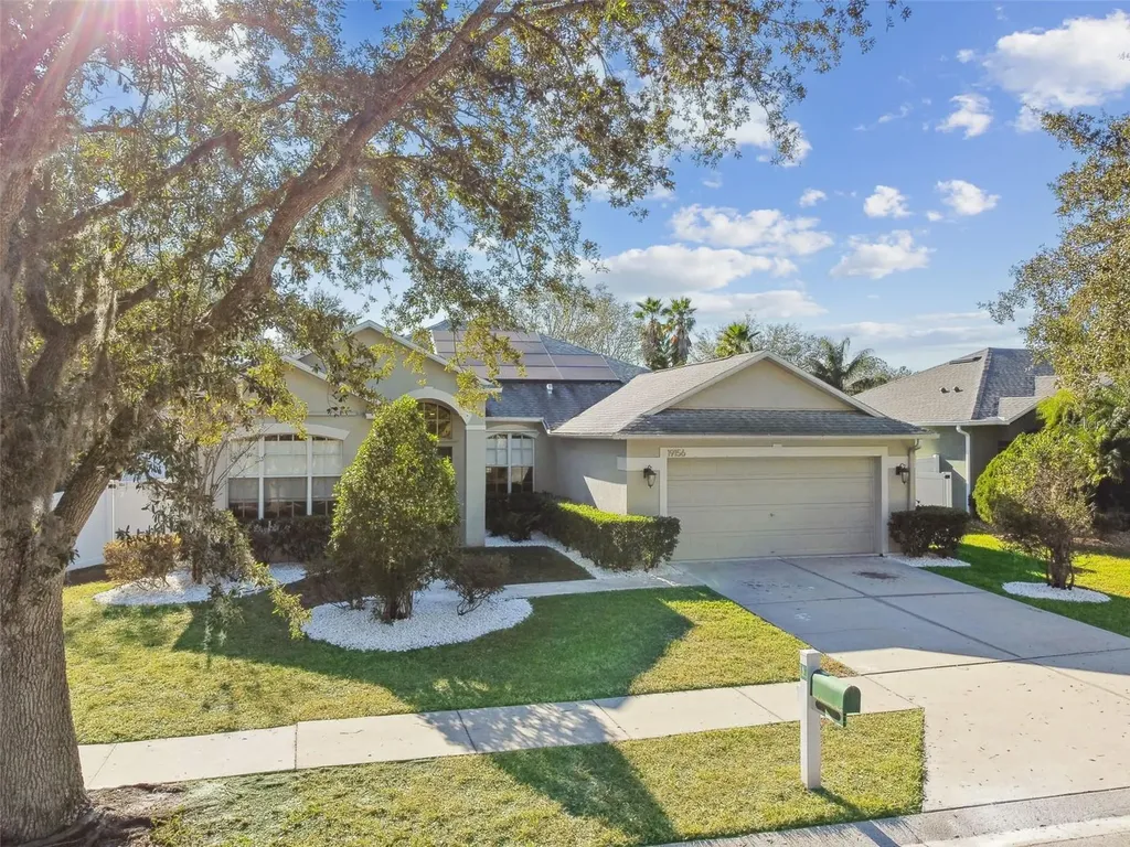 19156 Meadow Pine Drive Tampa FL 33647