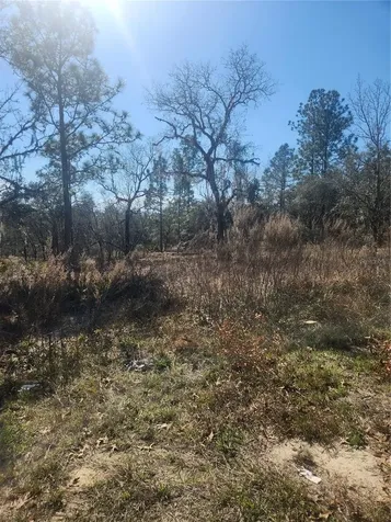 2848 W Buccaneer Lane Citrus Springs FL 34433