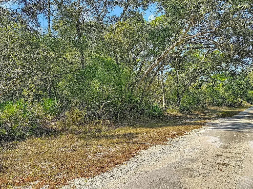 7241 Sonia Avenue Webster FL 33597