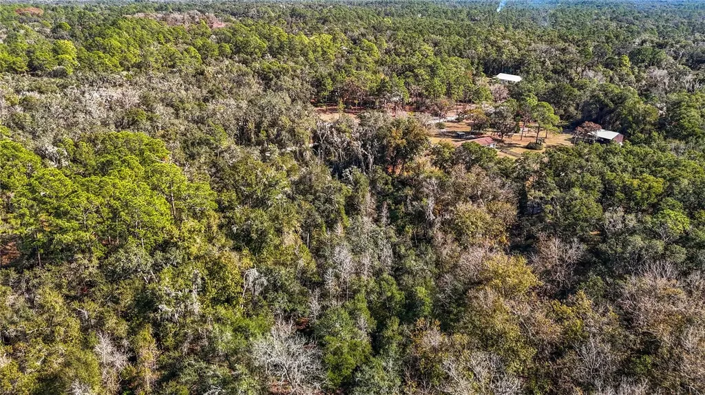 7241 Sonia Avenue Webster FL 33597
