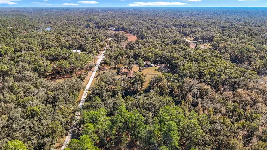 7241 Sonia Avenue Webster FL 33597