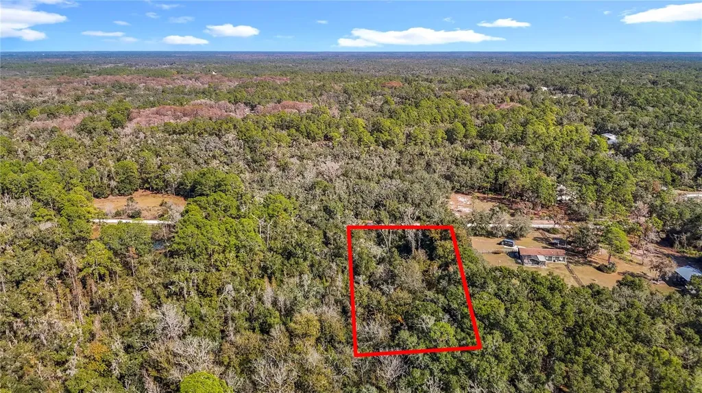 7241 Sonia Avenue Webster FL 33597