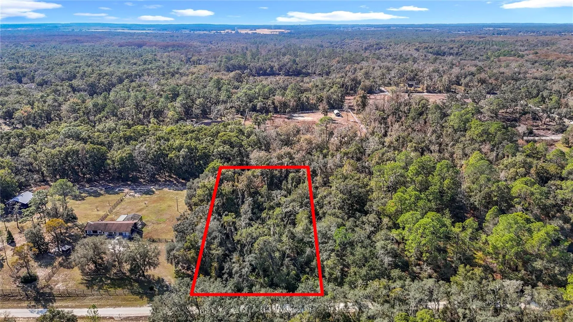 7241 Sonia Avenue Webster FL 33597