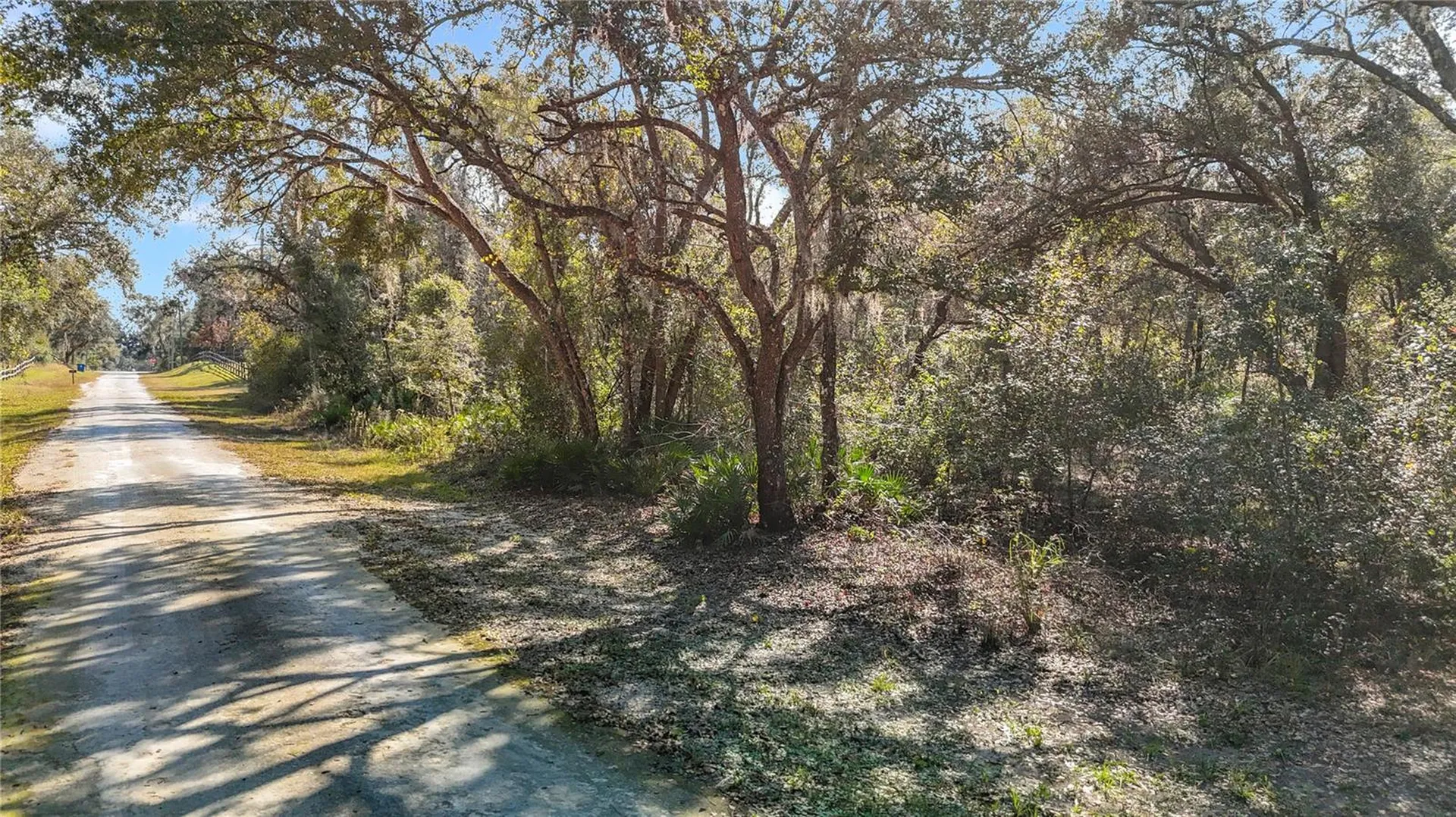 7241 Sonia Avenue Webster FL 33597