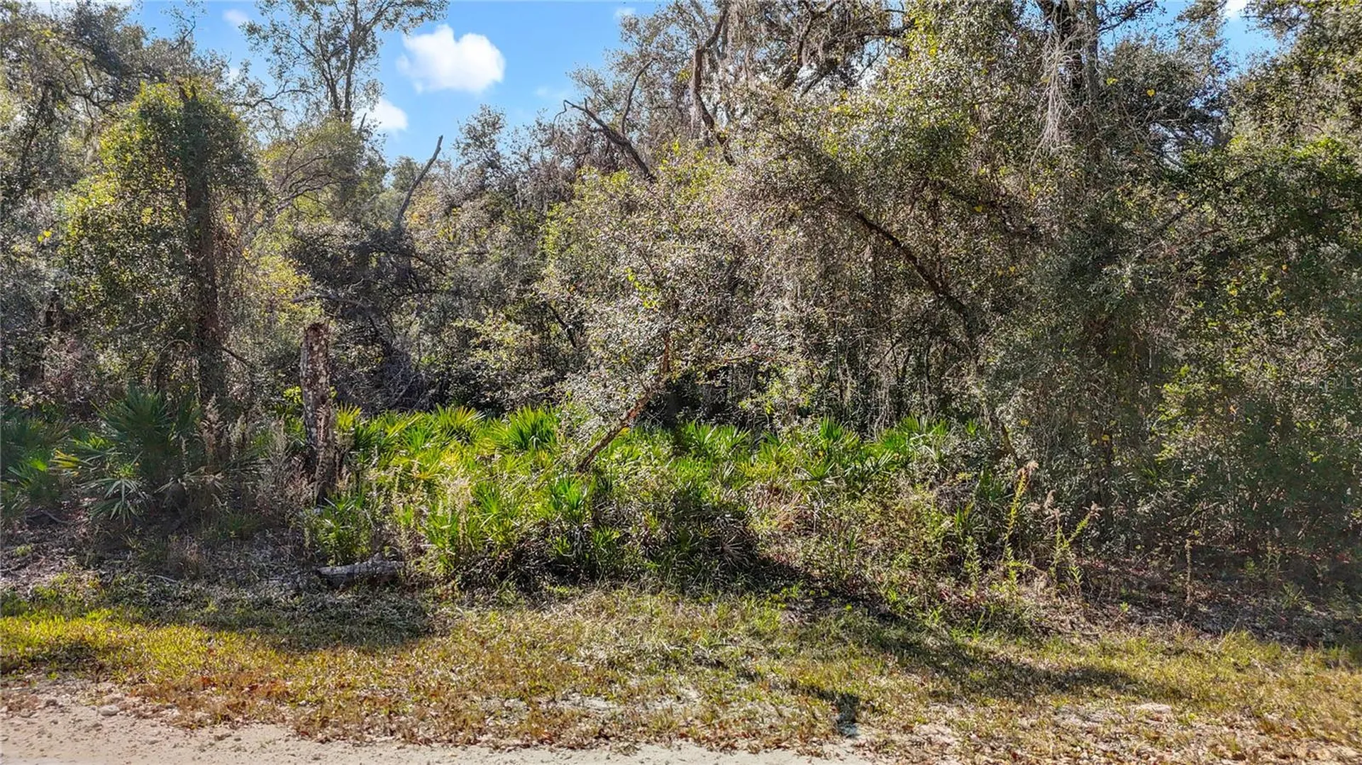 7241 Sonia Avenue Webster FL 33597