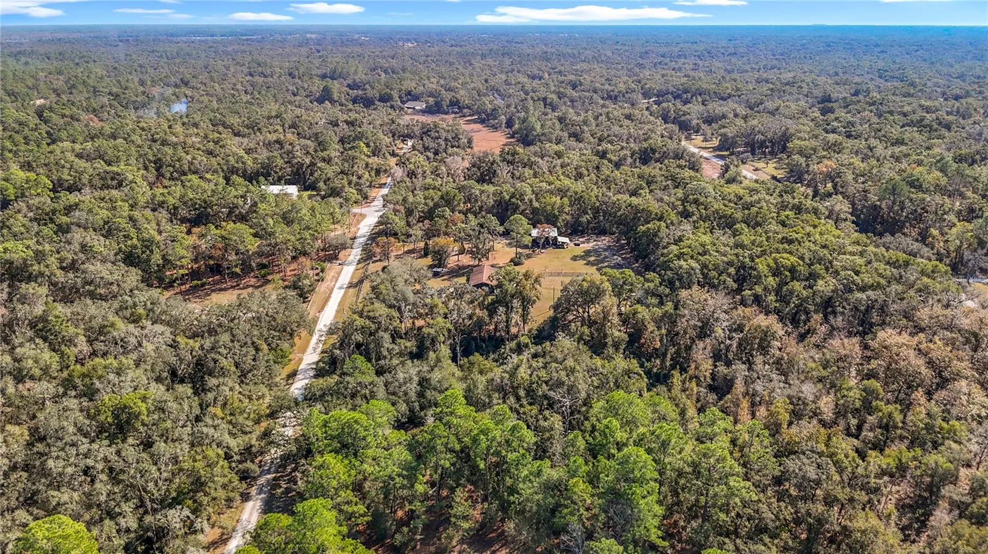 7241 Sonia Avenue Webster FL 33597