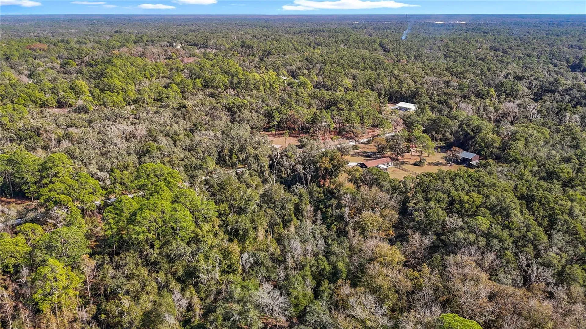 7241 Sonia Avenue Webster FL 33597