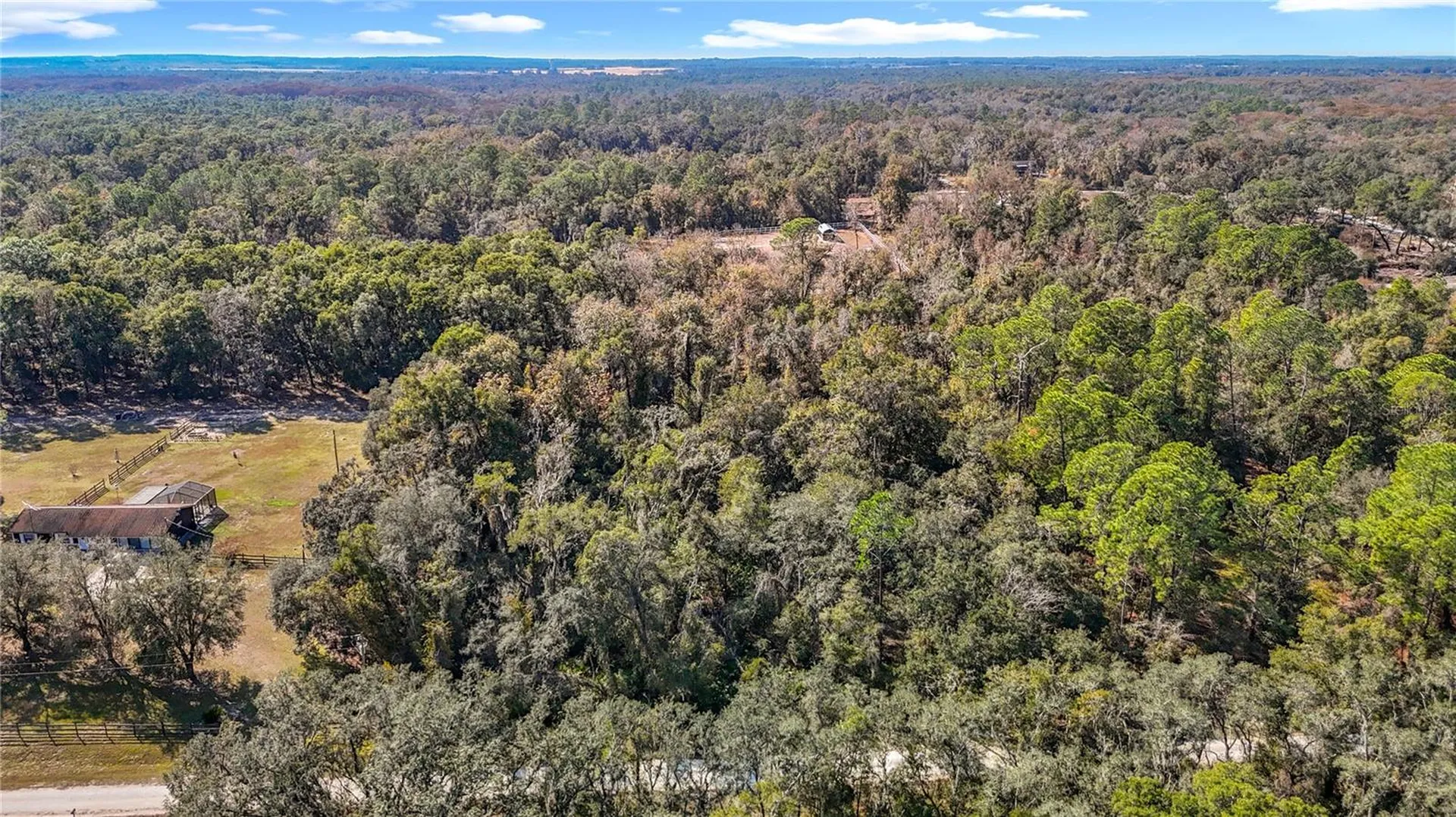 7241 Sonia Avenue Webster FL 33597