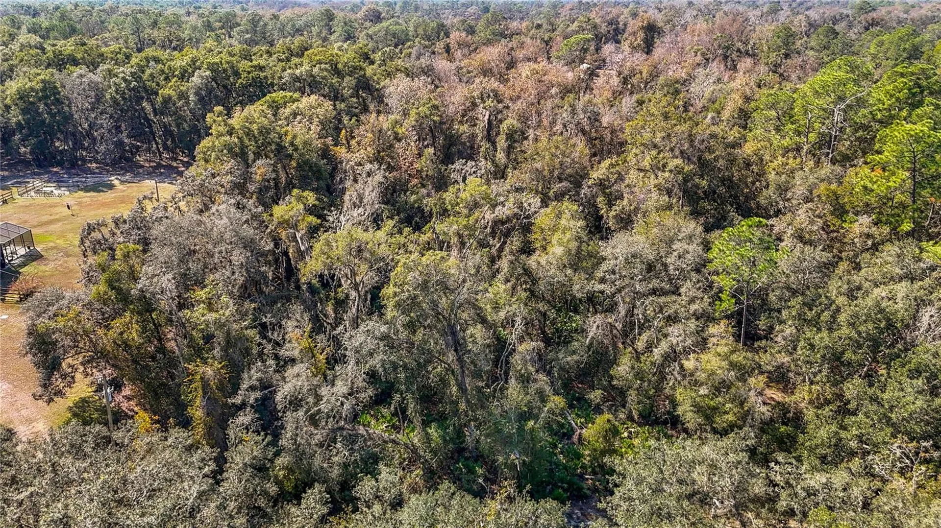 7241 Sonia Avenue Webster FL 33597