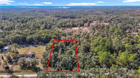 7241 Sonia Avenue Webster FL 33597