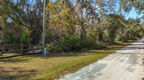 7241 Sonia Avenue Webster FL 33597