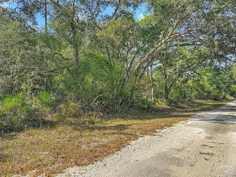 7241 Sonia Avenue Webster FL 33597