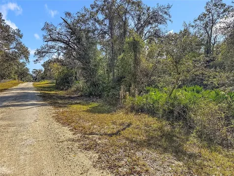 7241 Sonia Avenue Webster FL 33597