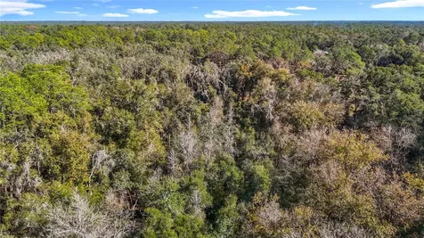 7241 Sonia Avenue Webster FL 33597