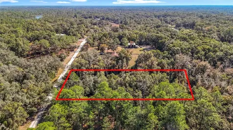 7241 Sonia Avenue Webster FL 33597
