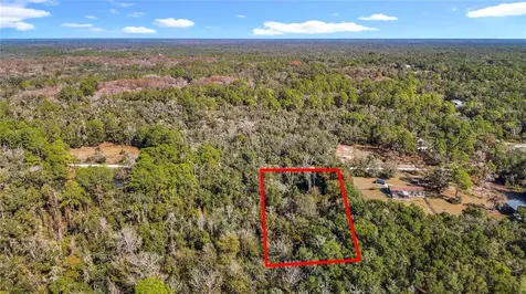 7241 Sonia Avenue Webster FL 33597