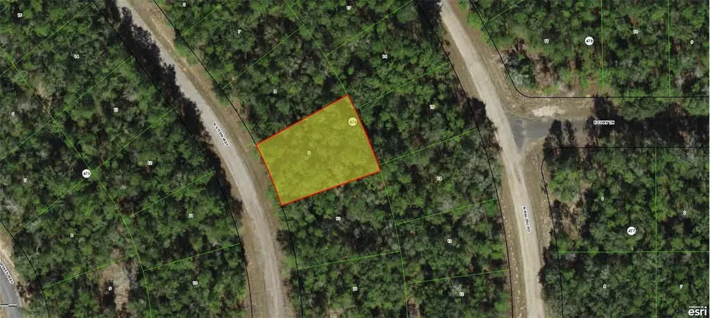8587 N Stern Way Citrus Springs FL 34434