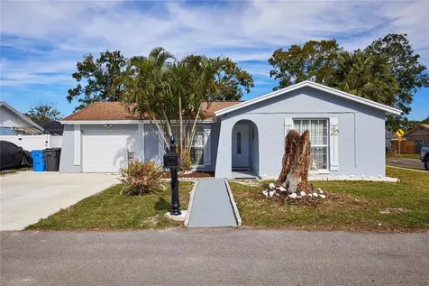 10111 Lazy Creek Court Tampa FL 33615