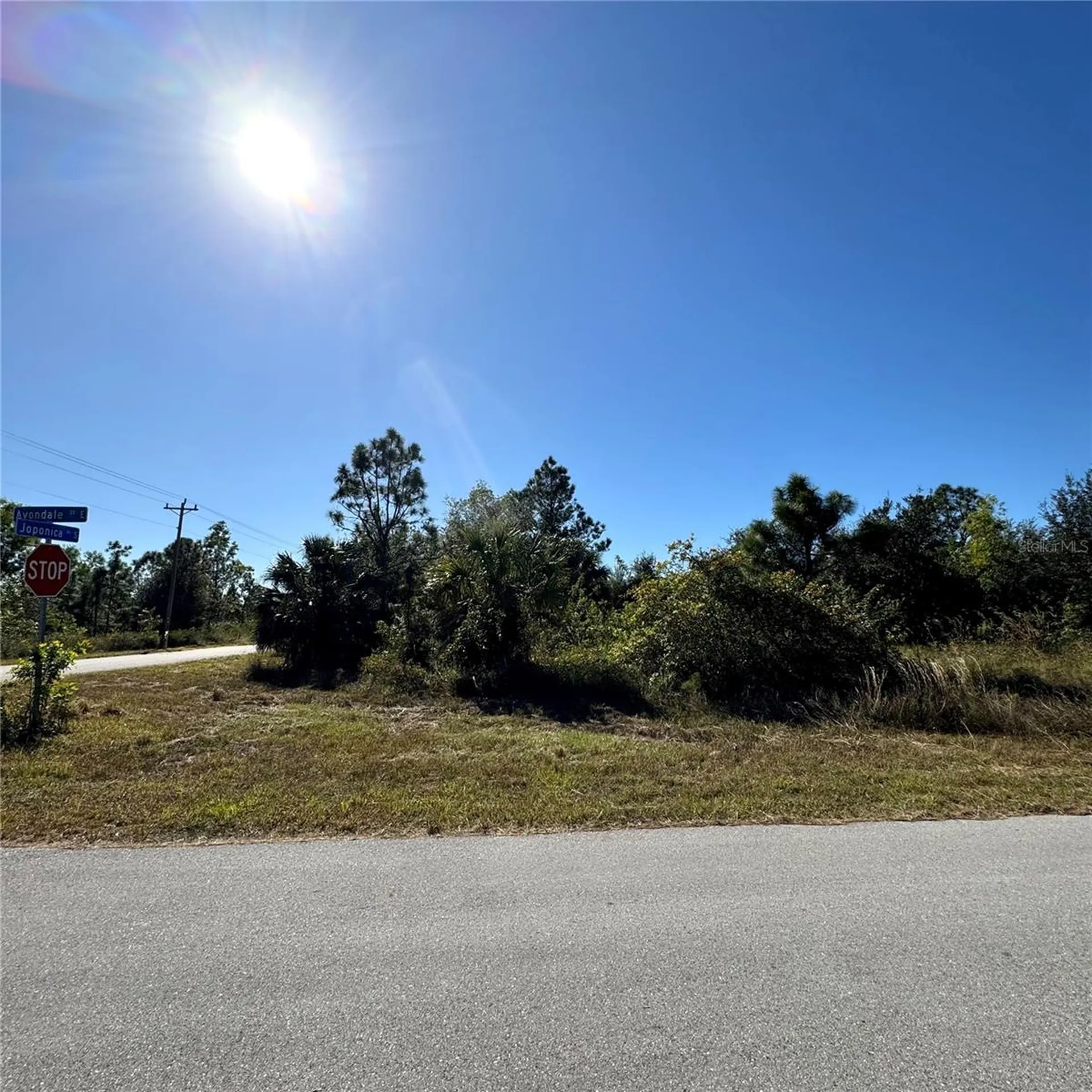 912 Avondale Street E Lehigh Acres FL 33974