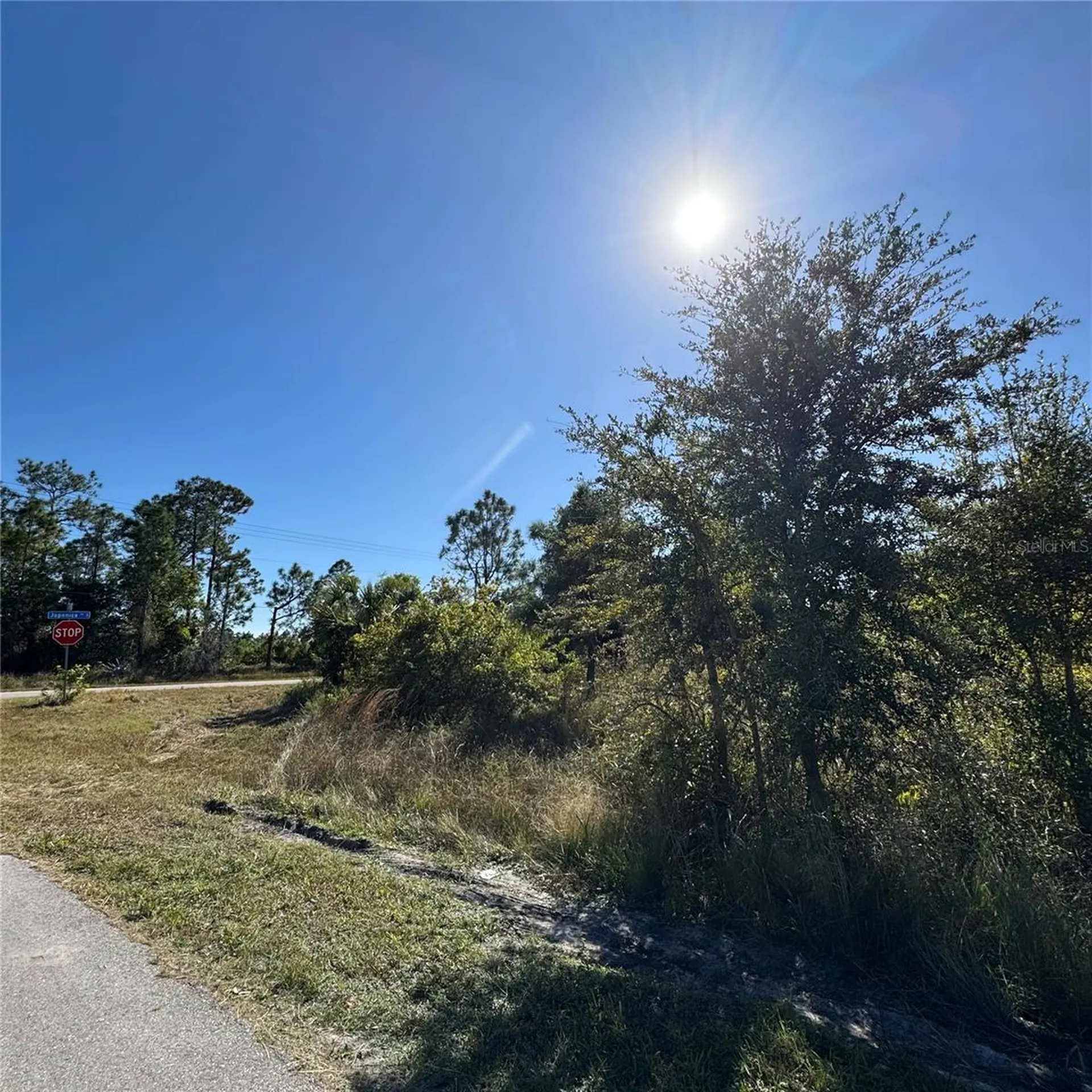 912 Avondale Street E Lehigh Acres FL 33974