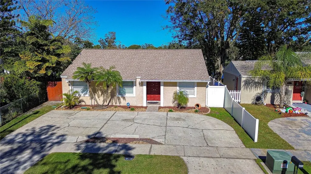 3223 Sandspur Drive Tampa FL 33618