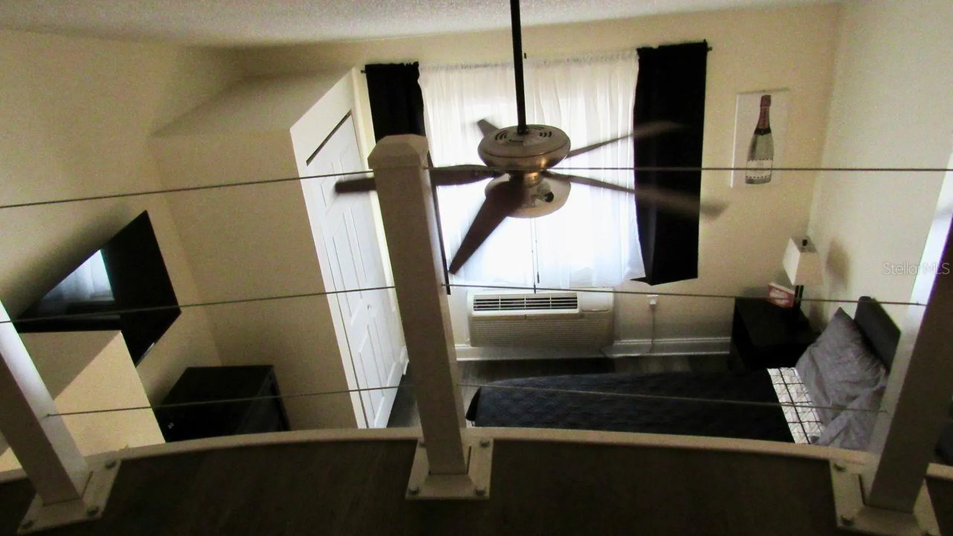 20853 Haulover Cove Lutz FL 33558