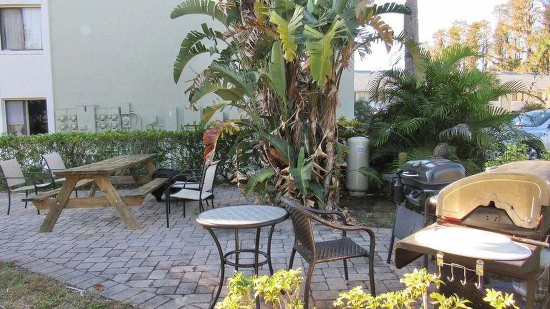 20853 Haulover Cove Lutz FL 33558