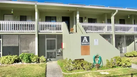 20853 Haulover Cove Lutz FL 33558