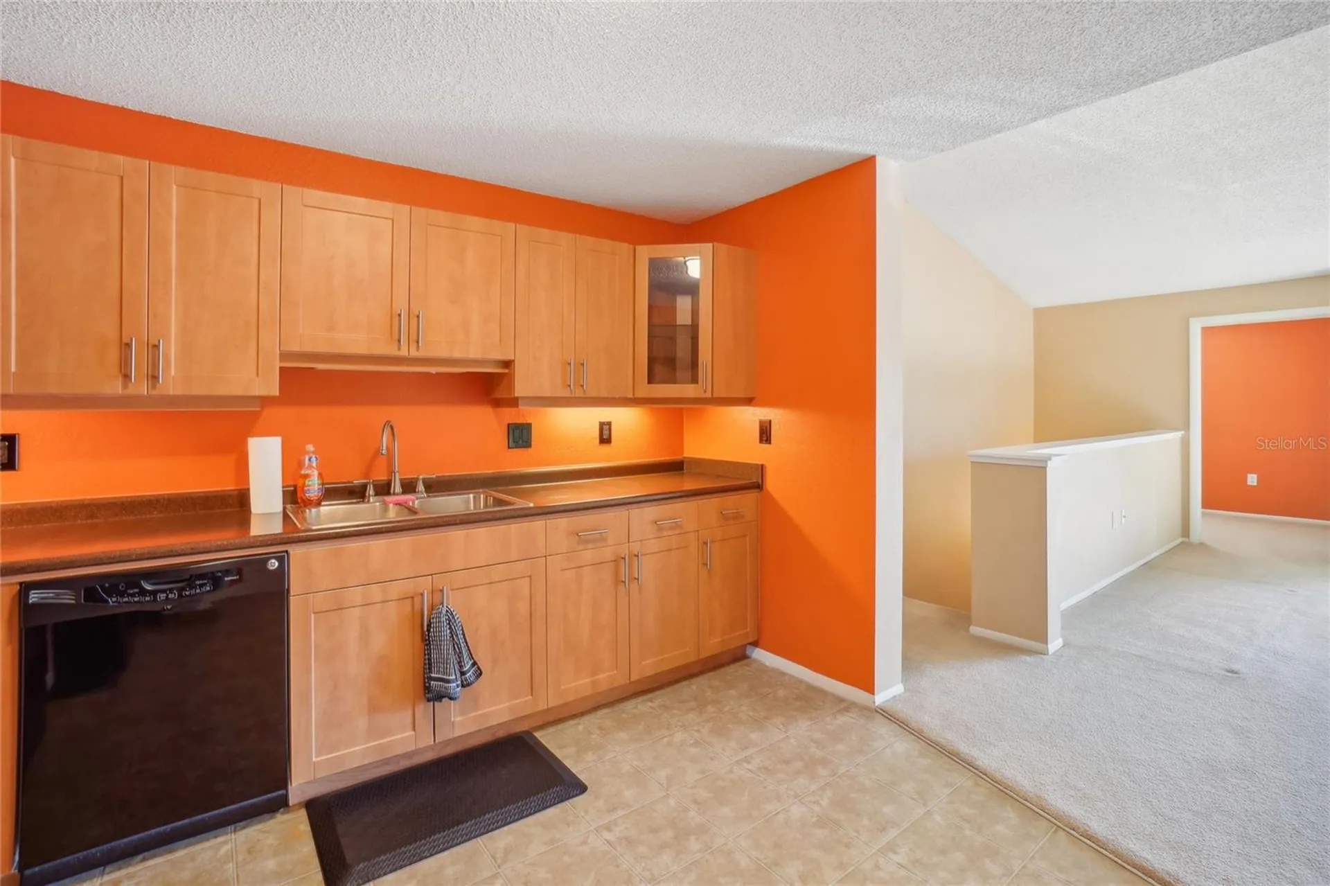 5576 Baywater Drive Tampa FL 33615