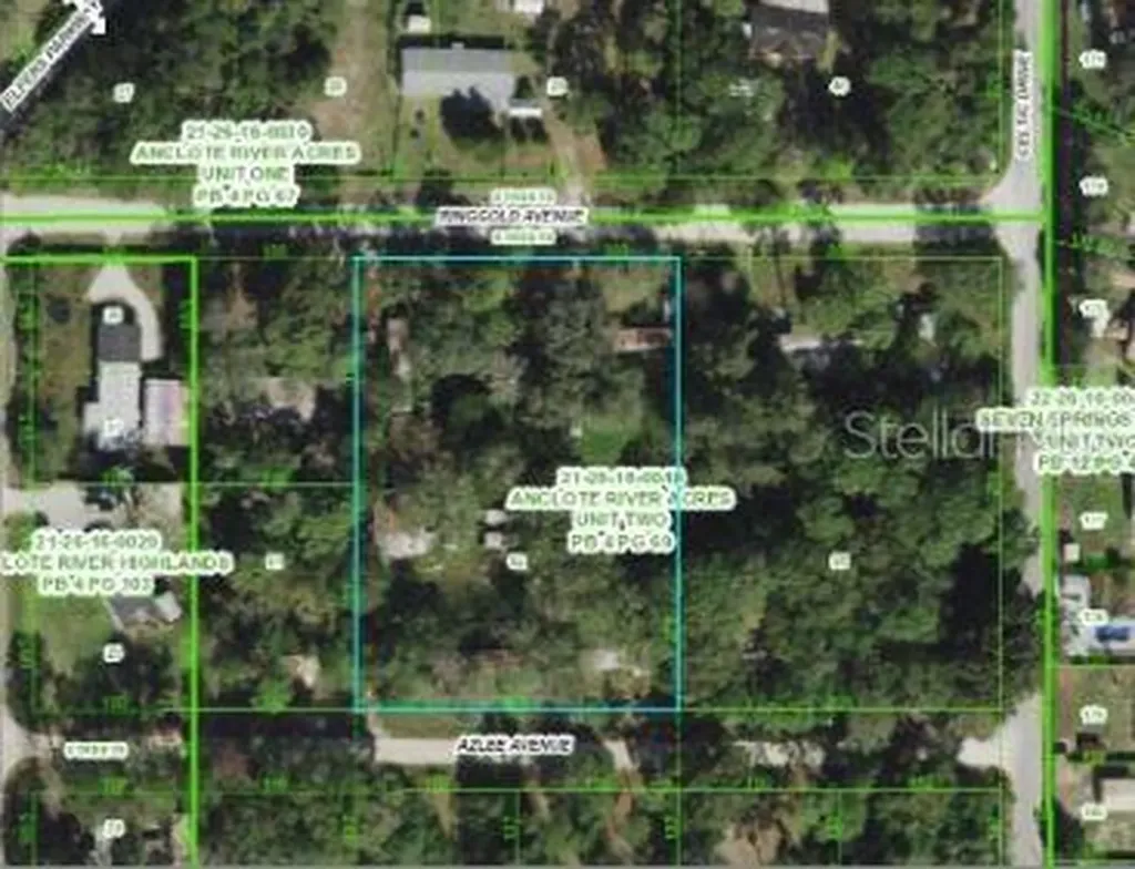 6927 Azlee Avenue New Port Richey FL 34655