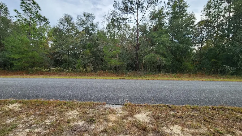 790 W Abner Place Dunnellon FL 34434