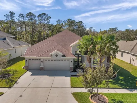27200 Hawks Nest Circle Wesley Chapel FL 33544