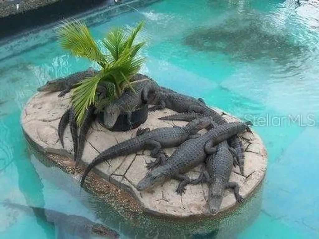 4708 W Irlo Bronson Memorial Highway Kissimmee FL 34746