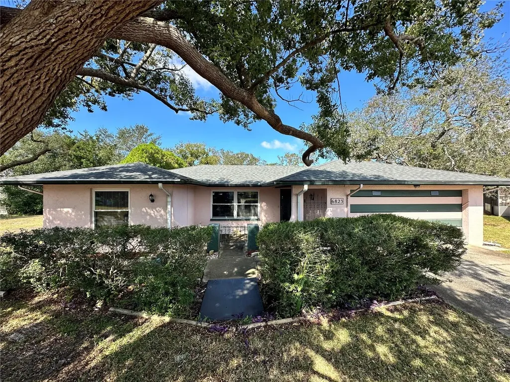 6823 Bottle Brush Drive Port Richey FL 34668