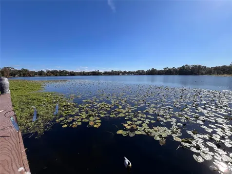 556 Lake Wildmere Cove Longwood FL 32750