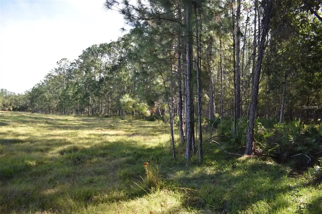 Berry Groves Road Drive Clermont FL 34714