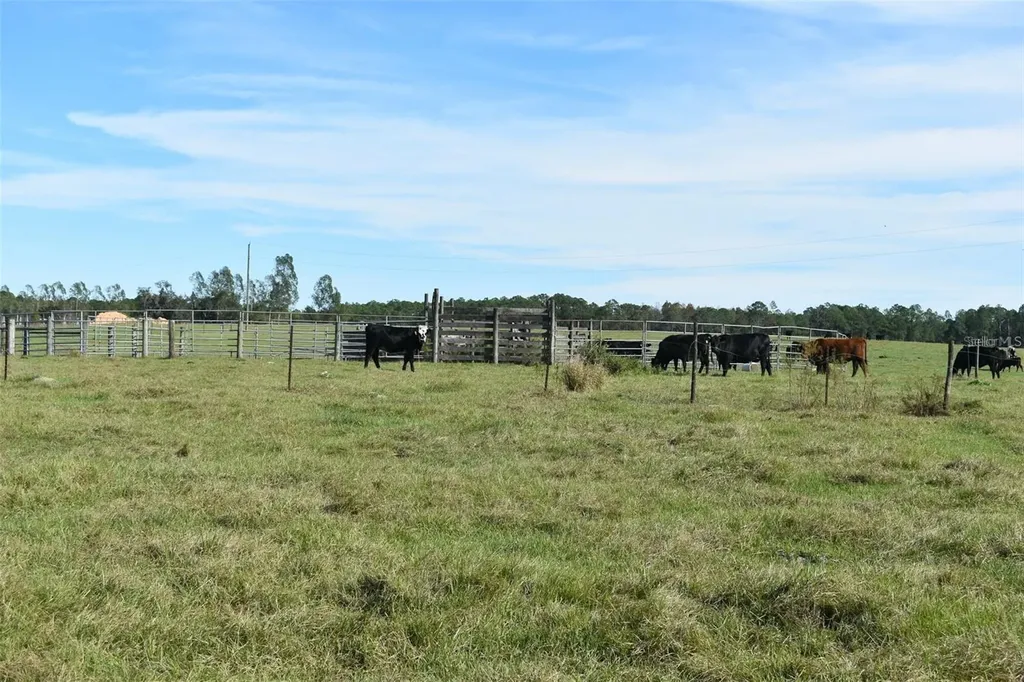 Berry Groves Road Drive Clermont FL 34714