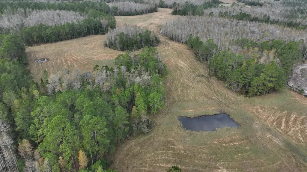 Berry Groves Road Drive Clermont FL 34714