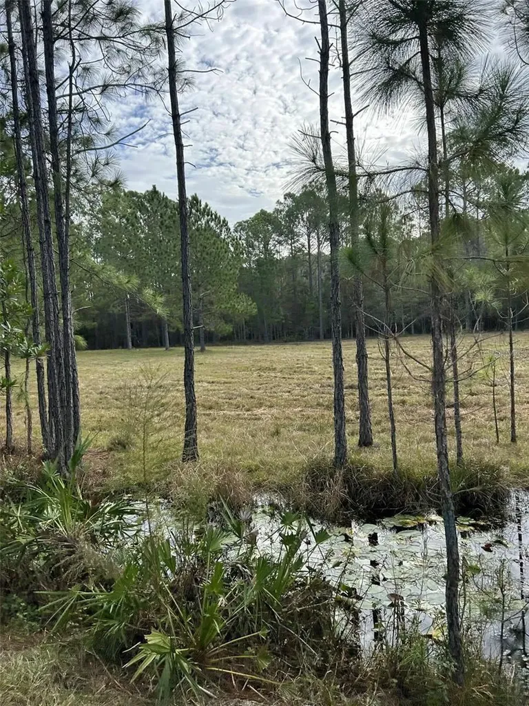 Berry Groves Road Drive Clermont FL 34714