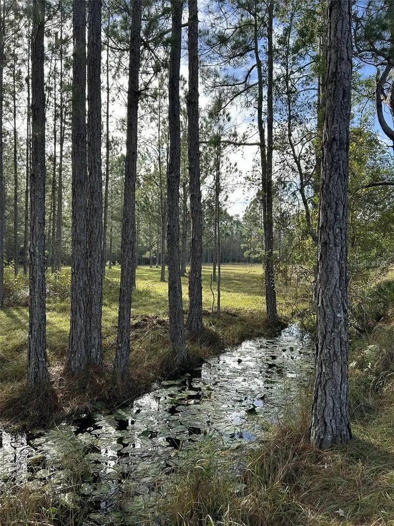 Berry Groves Road Drive Clermont FL 34714